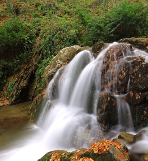 Oylat Kaplıcaları ve Oylat Kaplıcaları Otel Fiyatları