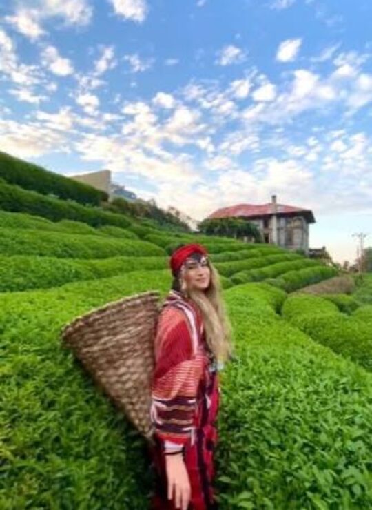 Rize Rize